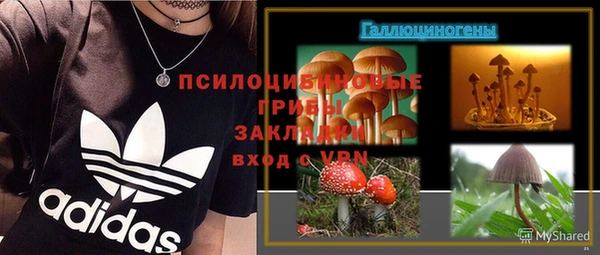 спиды Алексеевка